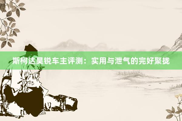 斯柯达昊锐车主评测：实用与泄气的完好聚拢